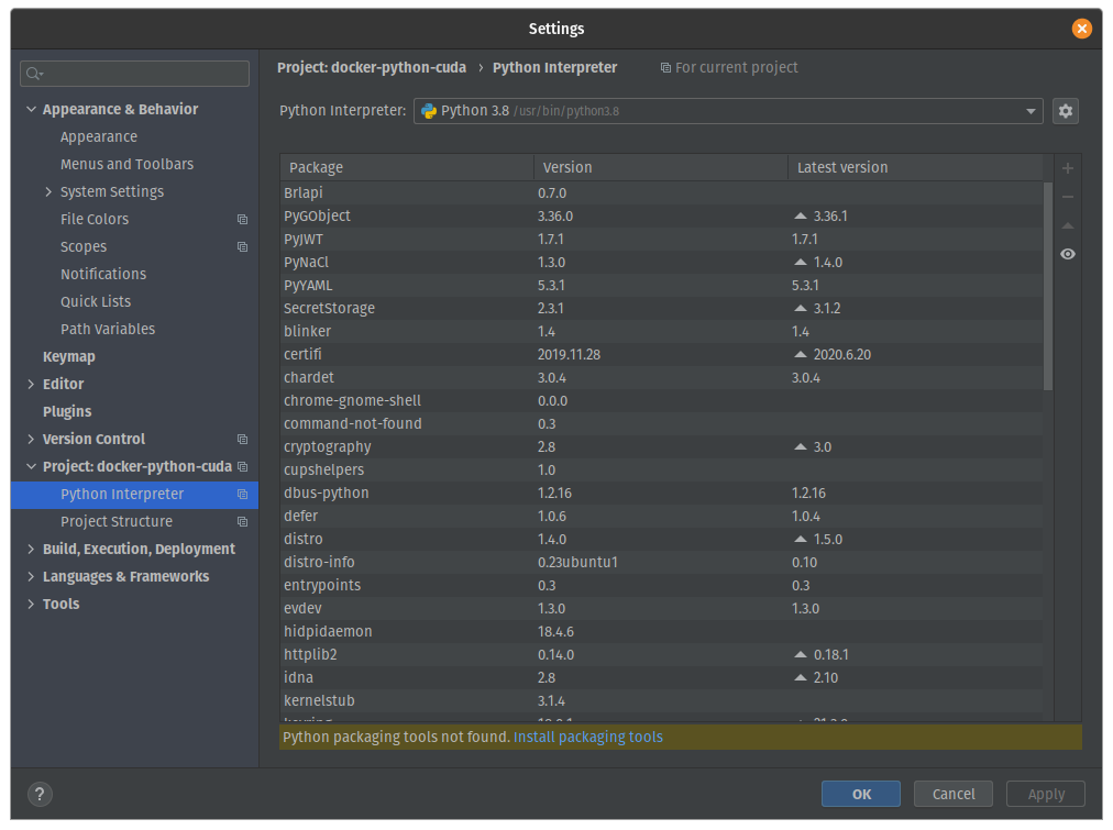 Python Interpreter settings